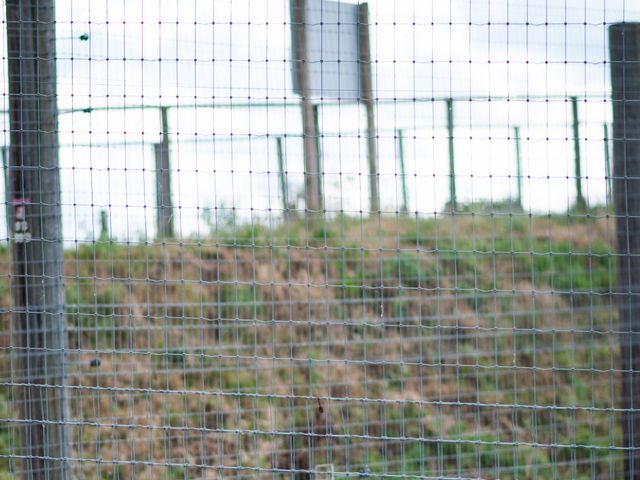 Lewis and Charlotte's Wedding in Ipswich, Suffolk 85
