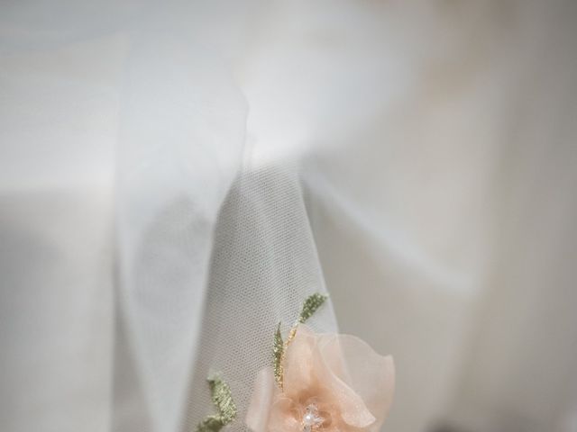 Lewis and Charlotte's Wedding in Ipswich, Suffolk 184