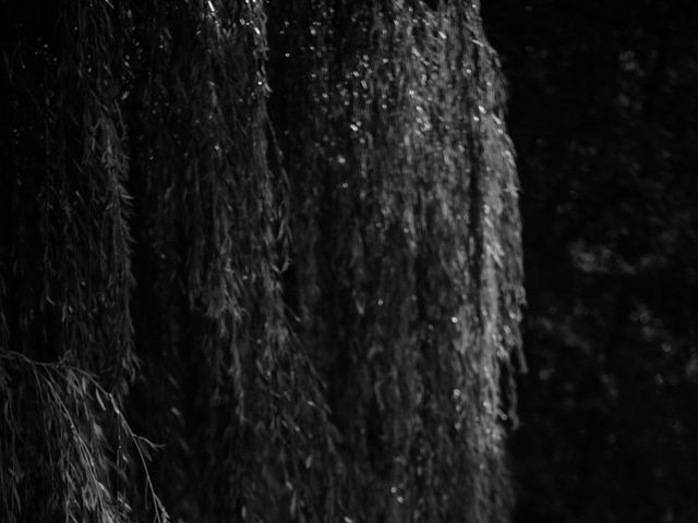 Ben and Sotera's Wedding in Billesley, West Midlands 28