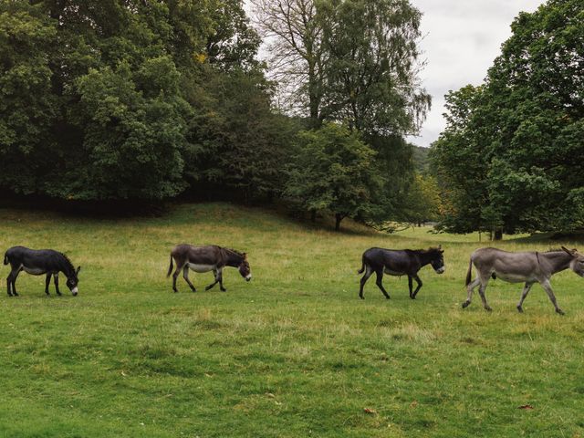 Aaron and Abbie's Wedding in Windermere, Cumbria 1