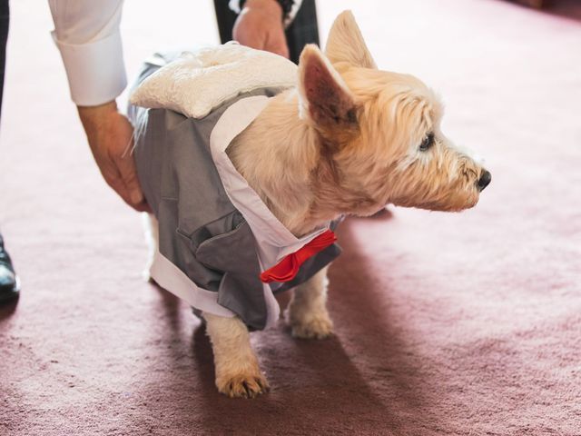 Andy and Kerry&apos;s Wedding in Shrewsbury, Shropshire 25