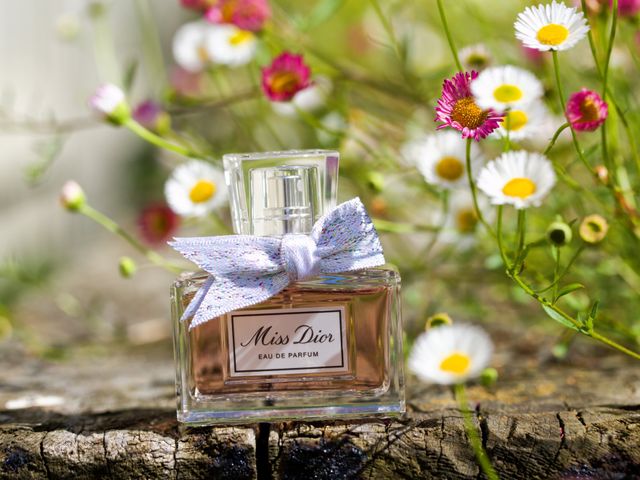 James and Hannah's Wedding in Cambridge, Cambridgeshire 2