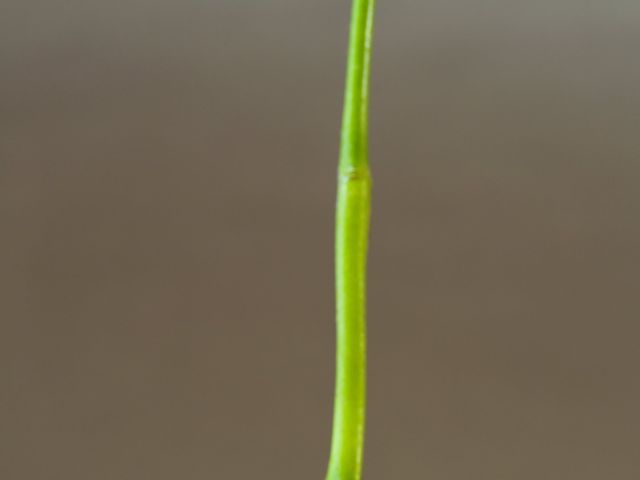 Morgan and Daisy's Wedding in Ipswich, Suffolk 36