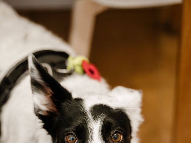 Tamsin and Tom's Wedding in Liskeard, Cornwall 14