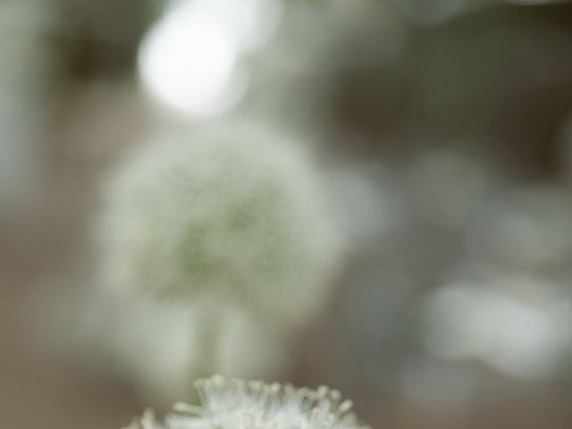 Valentina and Raffaele&apos;s Wedding in Lake Garda, Lake Garda 3