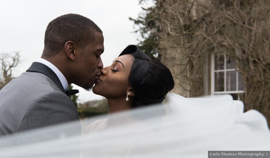 Veronique and Emeka's Wedding in Farnham, Surrey