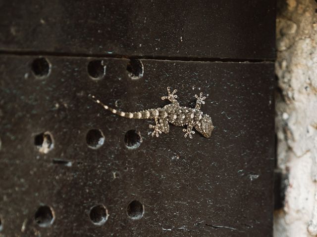 Luca and Eleonora's Wedding in Rome, Rome 5