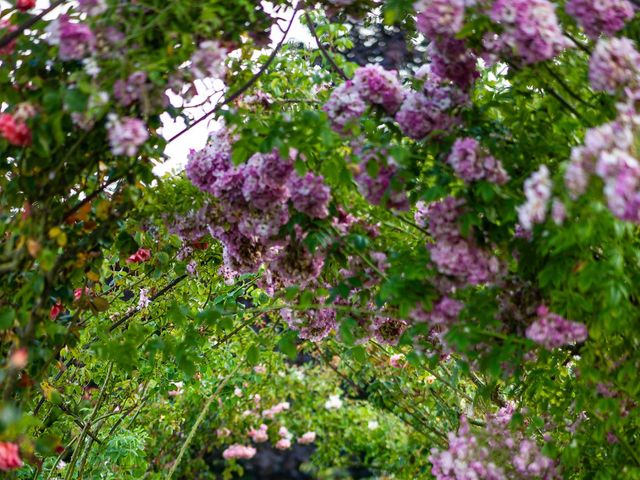 Brian and Sandy's Wedding in Beccles, Suffolk 148