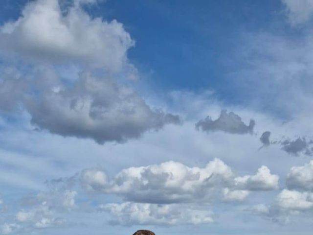 Adrian and Judit's Wedding in Cromer, Norfolk 6