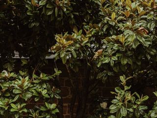 Laura &amp; Ryan's wedding 3