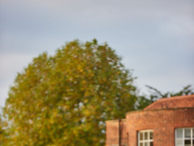 Nish and Arti's Wedding in Windsor, Berkshire 46