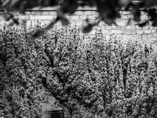 Rhys and Katie's Wedding in Hazlewood, North Yorkshire 101