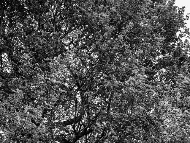 Paul and Rebecca's Wedding in Ingbirchworth, Penistone, South Yorkshire 112