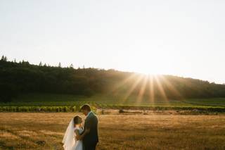 Denbies Wine Estate - 5