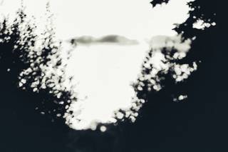Digital Expression Photo - 15