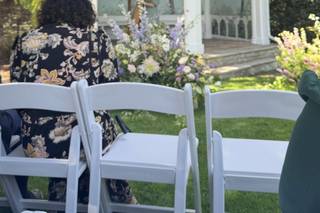 Christine Palethorpe (Nottingham Harpist) - 5