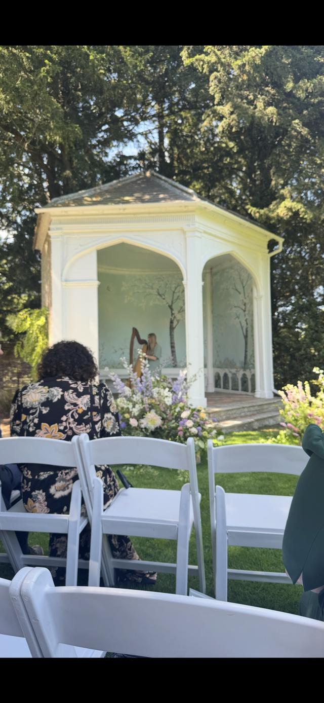 Christine Palethorpe (Nottingham Harpist) - 2