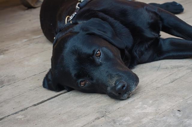 Surfside & Rum Bar, Polzeath - 3