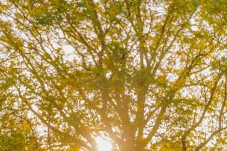 Christopher Bunce Photography - 5
