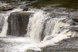 Kane Young Photography and Videography - 8