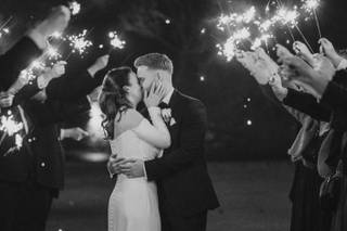 Ladybirds Photography - 5