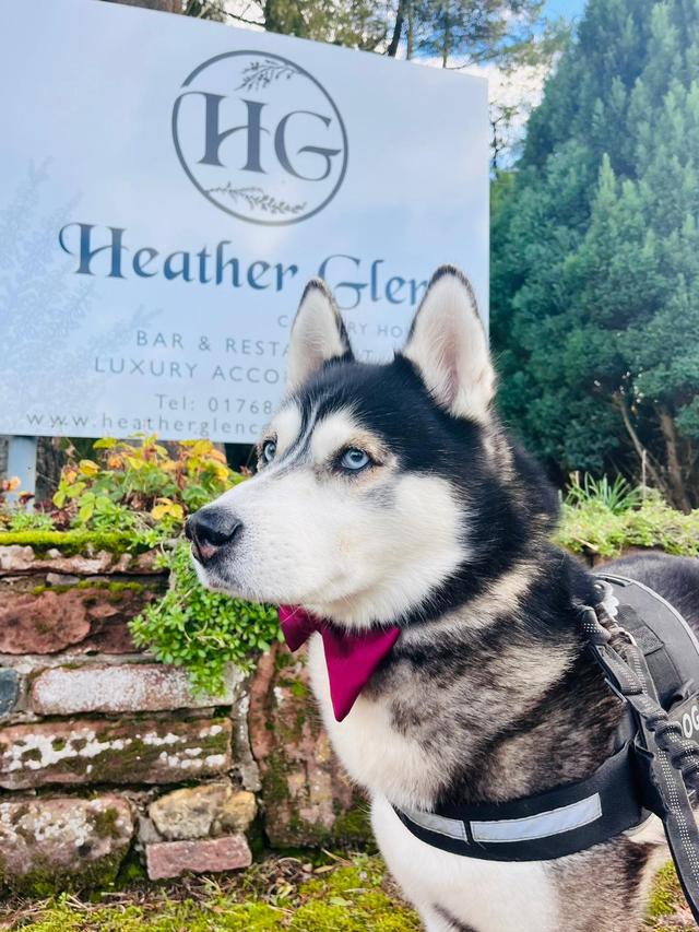 Heather Glen Country House - 4