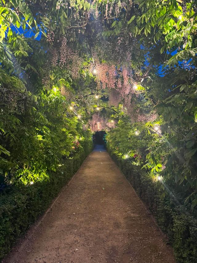 Thorpe Garden - Cripps & Co - 2