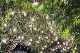 Fuego di Gianni Cardì - 11