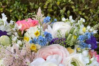 Rainbow Heart Flowers - 1