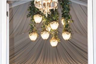 James Ball Photography - 6