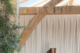 Jill Reynolds Harpist - 5