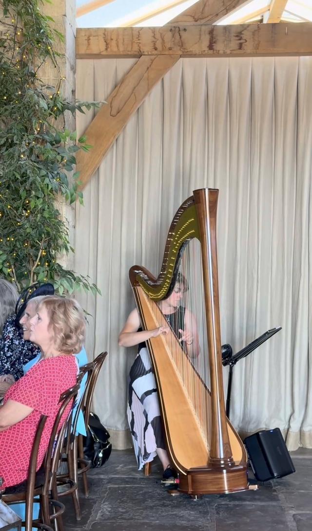 Jill Reynolds Harpist - 2