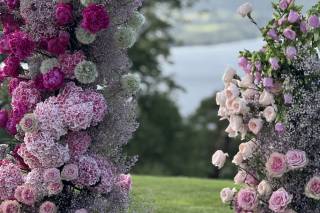 Lavender and Rose - 6