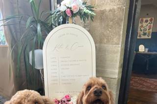 Together Furever Weddings - 6