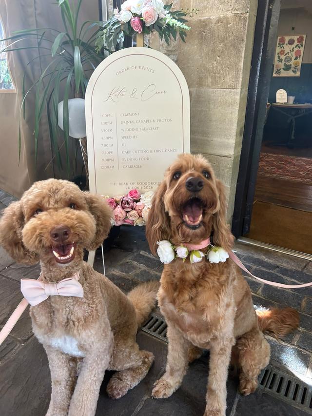 Together Furever Weddings - 2