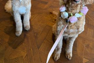 Together Furever Weddings - 7