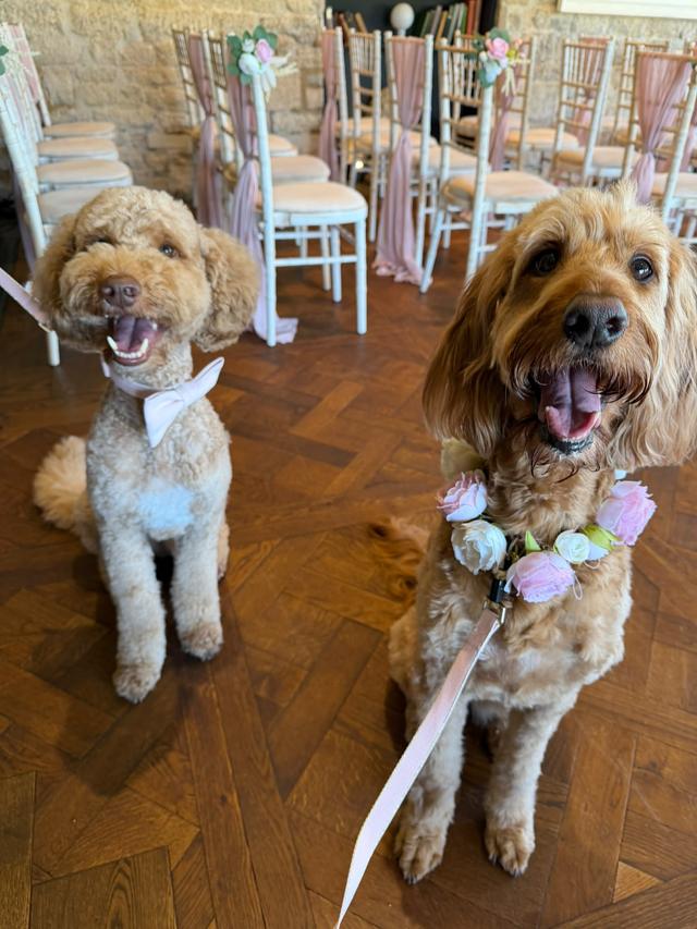 Together Furever Weddings - 3