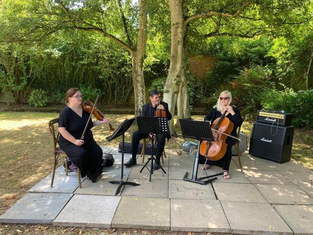 Sophistication Strings - 1