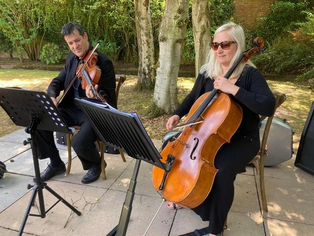 Sophistication Strings - 2