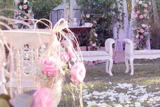 C.Mucho Pics - 4