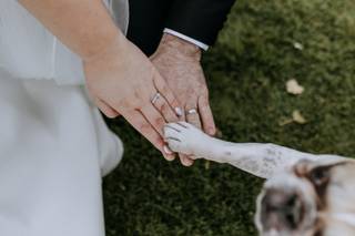 Here Comes the Hound - 11