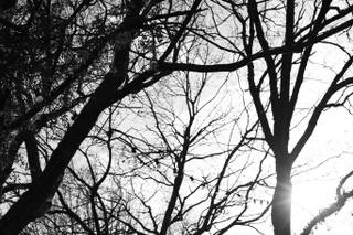 Robertas Real Photography - 6