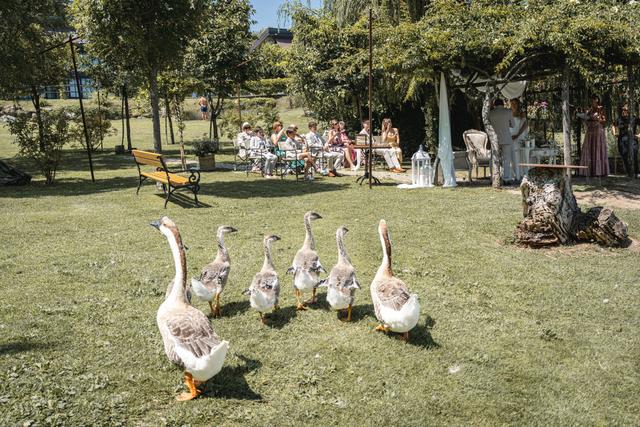 Weddings at Lake Garda - 3