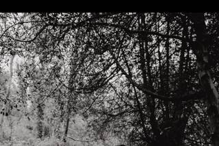 Mark Dilbo Photography - 9
