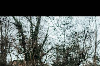 Mark Dilbo Photography - 10
