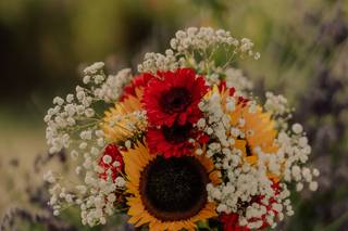 Marley & The Wildlings Photography - 5