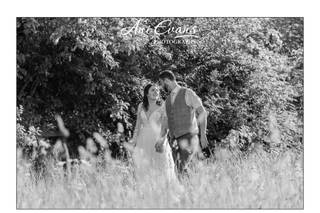 Ani Evans Photography - 5