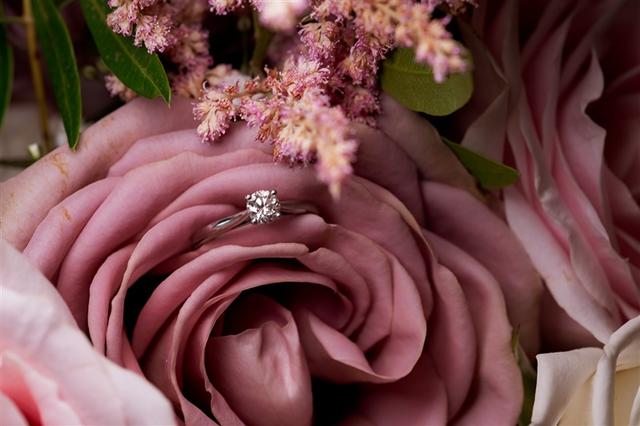 Matt Selby Photography - 1