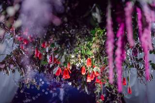 Ivy Amelia Florals - 5