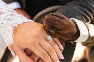 Shannon Parker Photography - 6